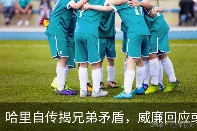哈里自传揭兄弟矛盾，威廉回应或存分歧